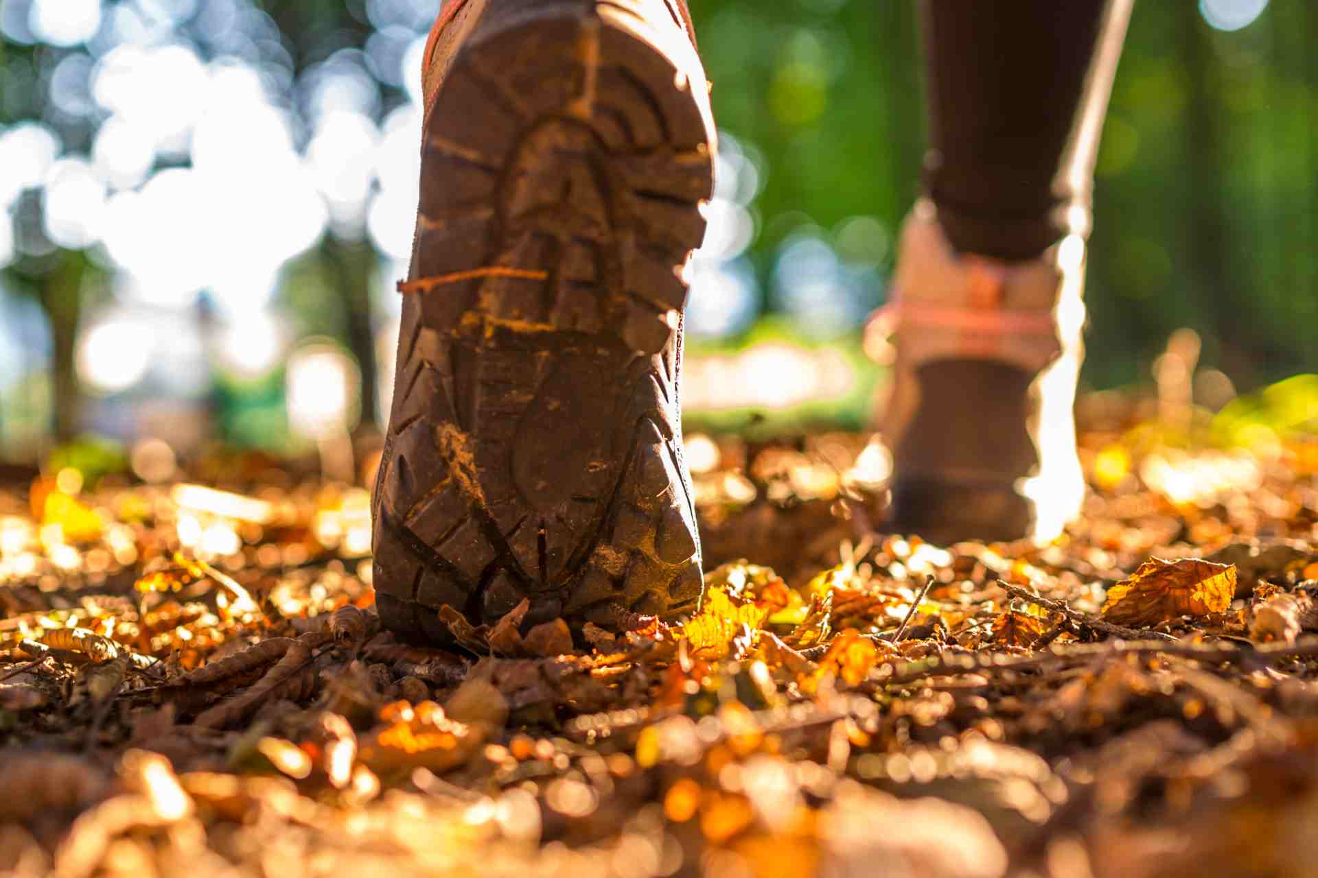 Buty trekkingowe damskie